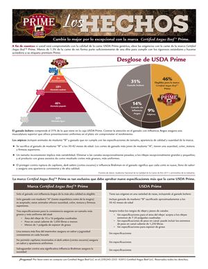 The Facts Prime Spanish