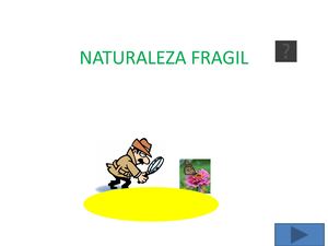 Naturaleza Fragil