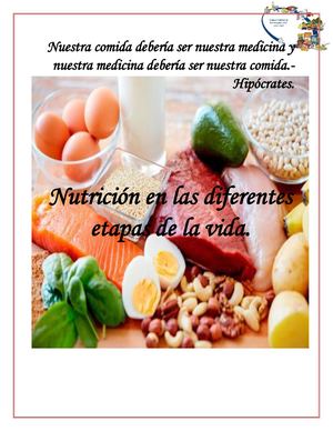 San Nutricion En Las Etapas De La Vida