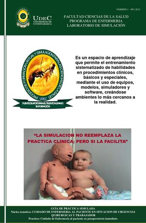 Guia De Practica En Posoperatorio