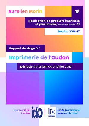 Rapport de stage à l'idl'O
