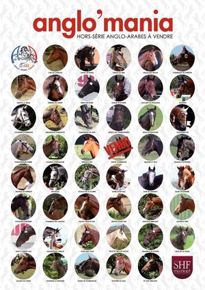 Anglo'Mania 2017 - Hors série spécial vente