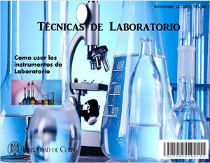 Técnica Instrumental