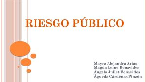 Presentacion Riesgo Publico