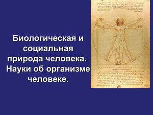 Анатомия, урок 1