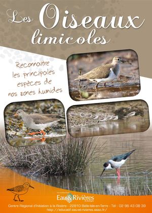 Livret Limicoles
