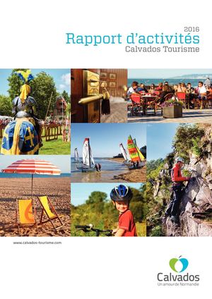 Rapport D'activités 2016