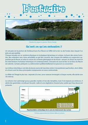 Fiche Pédagogique Estuaire - Eau & Rivières De Bretagne