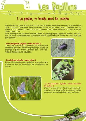 Fiche Pédagogique Papillons - Eau & Rivières De Bretagne