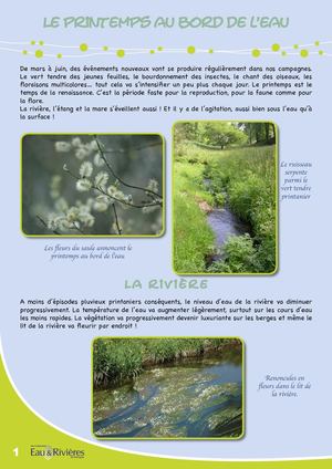 Fiche Pédagogique Riviere Au Printemps - Eau & Rivières De Bretagne
