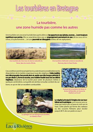 Fiche Pédagogique Tourbiere - Eau & Rivières De Bretagne