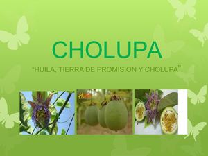 Proyecto Cholupa