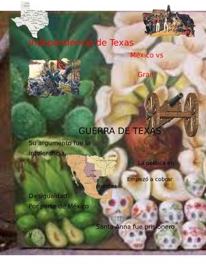 Infografia 5 Intervenciones Extranjeras