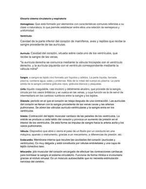 Glosario Sistema Circulatorio Y Respiratorio