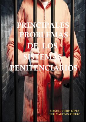 Principales Problemas De Los Sistemas Penitenciarios