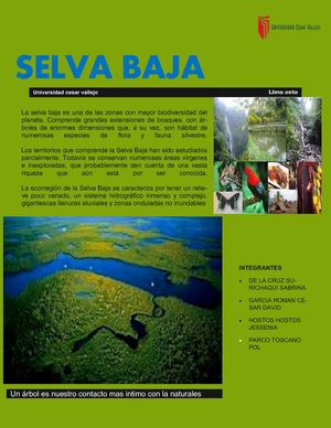 SELVA BAJA