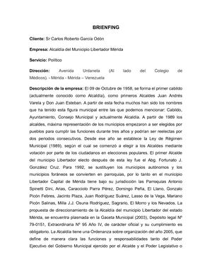 Brienfing Publicitario
