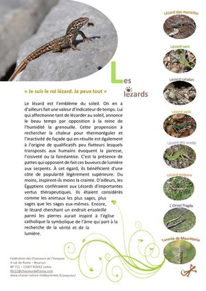 Les Lézards