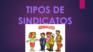 Tipos De Sindicatos