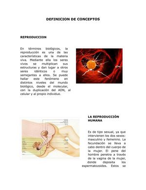 Definicion De Codenceptos