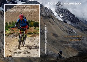 Mustang Mountain Bike Flyer