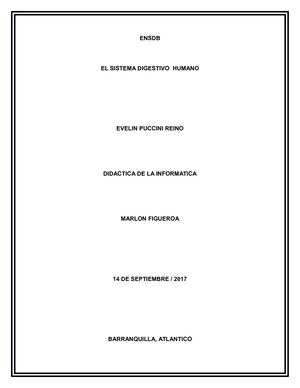 Plan Clase, Sistema Digestivo
