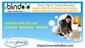 Learn about Salesforce on Blindbid