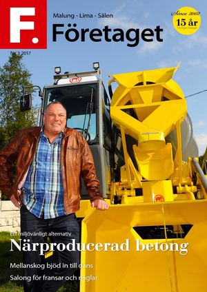 Företaget 3 2017