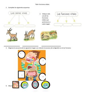 Taller Sobre Sistema Digestivo