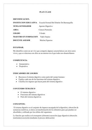 El Sistema Digestivo