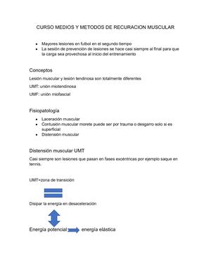Curso Medios Y Metodos De Recuperacion Muscular