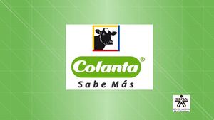 Proyecto Cartilla Intervenir