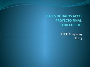 Bases De Datos Acces Proyecto Final Flor Cubides