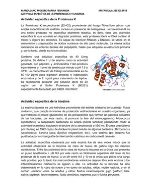 Actividad Específica De La Proteinasa K Y Lisozima