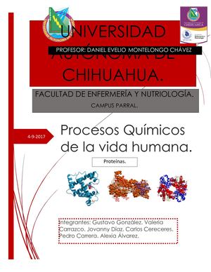 Proteínas (3)