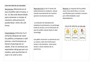 Triptico Los Seres Vivos y Animales