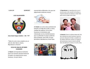 Triptico De El Ciclo De Vida