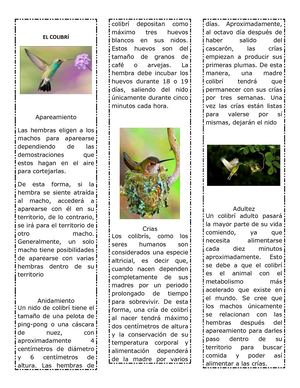 El Colibrí Triptico