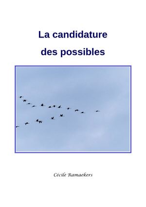 Candidature Des Possibles
