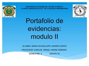 Linares Garay Mara Guadalupe Modulo II