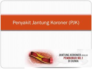 Penyakit Jantung Koroner (Pjk)