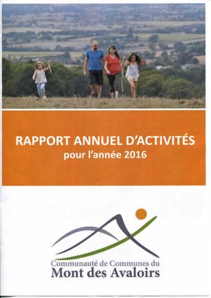 Rapport Annuel Ccma 2016
