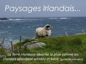 Paysages Irlandais