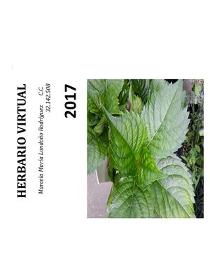 Herbario Virtual