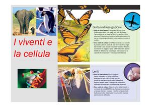 I Viventi E La Cellula