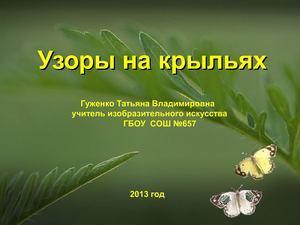 Урок ИЗО Узоры на крыльях. Рисуем бабочку