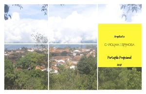 PORTAFOLIO PROFESIONAL