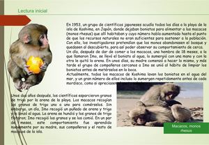 Estimulo Respuesta Seres Vivos Listo