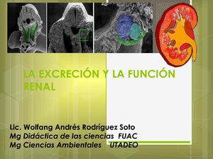 Osmoregulacion Y Excrecion