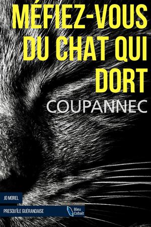 Méfiez Vous Du Chat Qui Dort